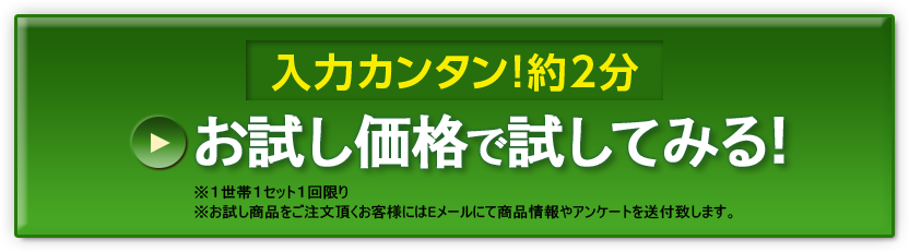 お試し価格で試してみる！