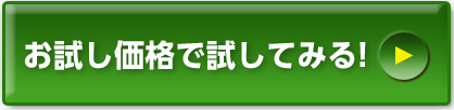 お試し価格で試してみる！