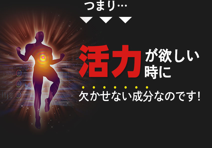 活力が欲しい時に欠かせない成分なのです